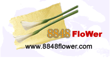 china flower delivery,china flower shop,send flower china